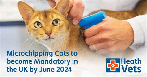 will microchipping become mandatory